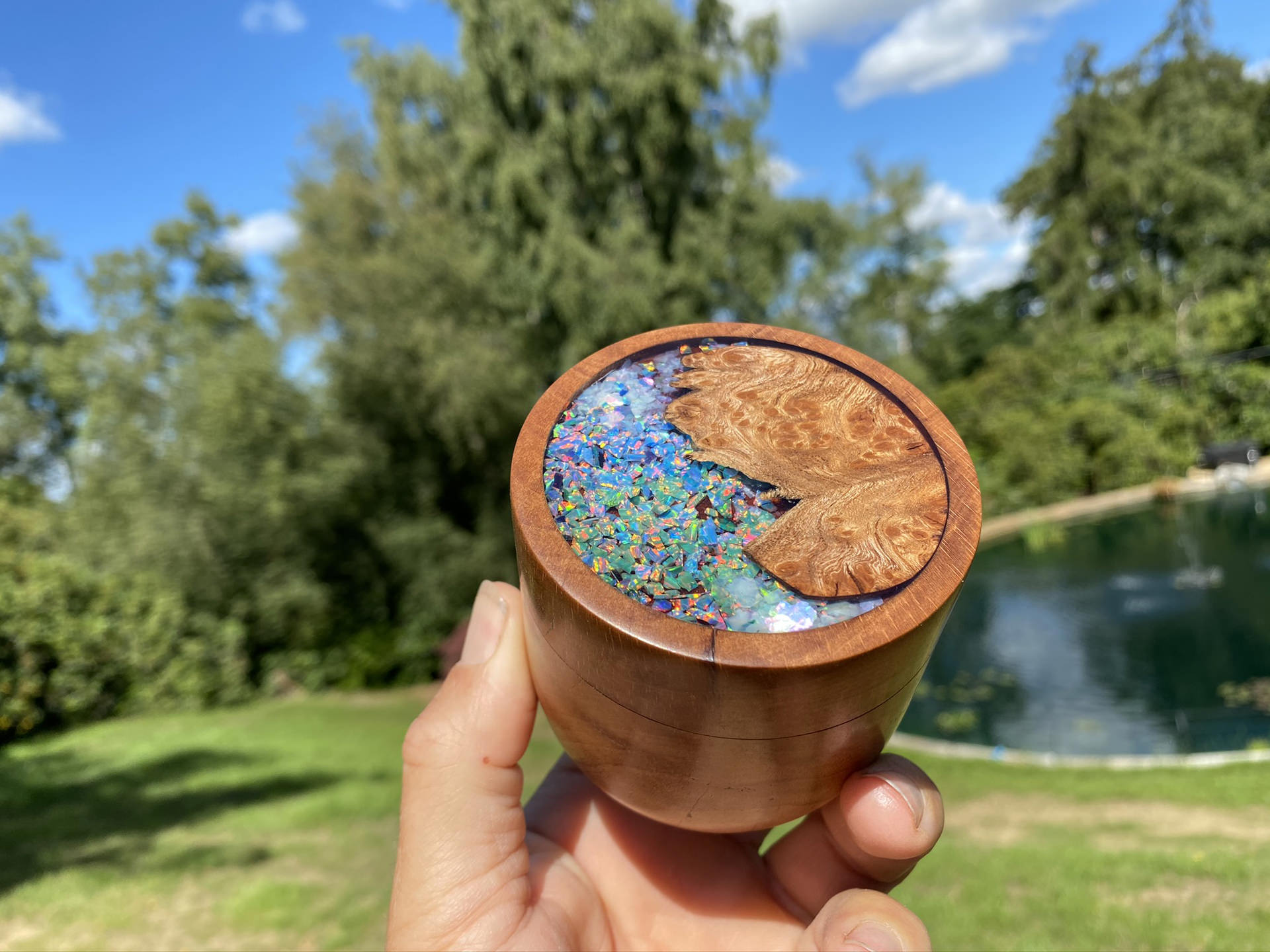 Gallery Nick Zammeti